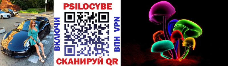 Купить где  Морозовск  Галлюциногенные грибы Cubensis 